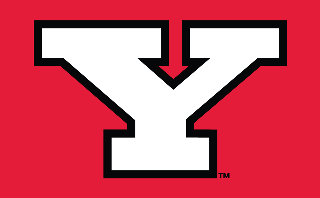 Youngstown State Penguins 1993-Pres Alternate Logo v3 diy DTF decal sticker